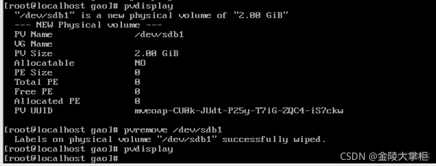 简述Linux删除LVM的过程_RAID1_05