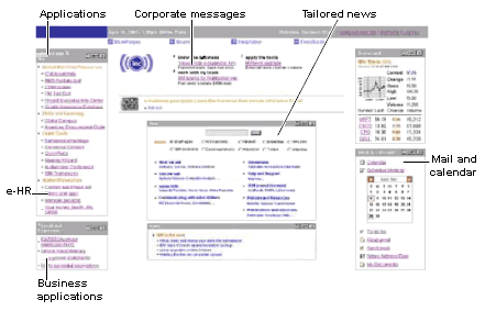 中间件IBM WebSphere Portal_中间件_02