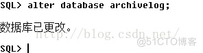 Oracle开启archivelog模式_hive_05