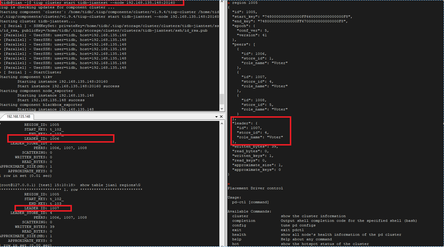 TiDB 6.0 Placement Rules In SQL 使用实践_linux_07