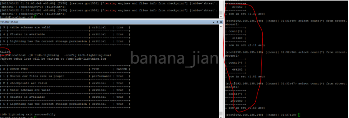 TiDB  Lightning使用实践_sql_09