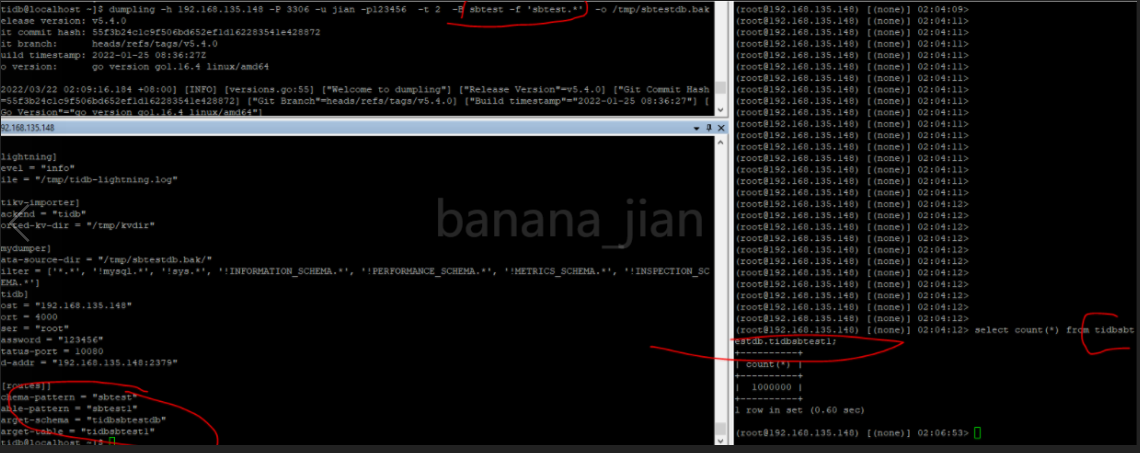 TiDB  Lightning使用实践_键值对_10