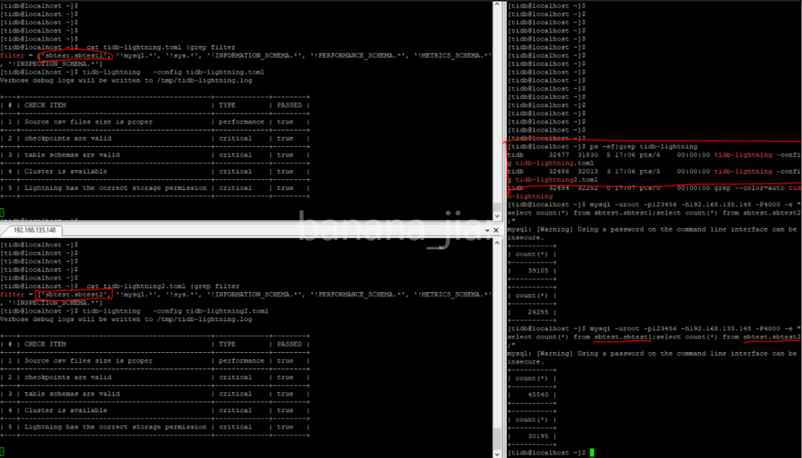 TiDB  Lightning使用实践_数据_11