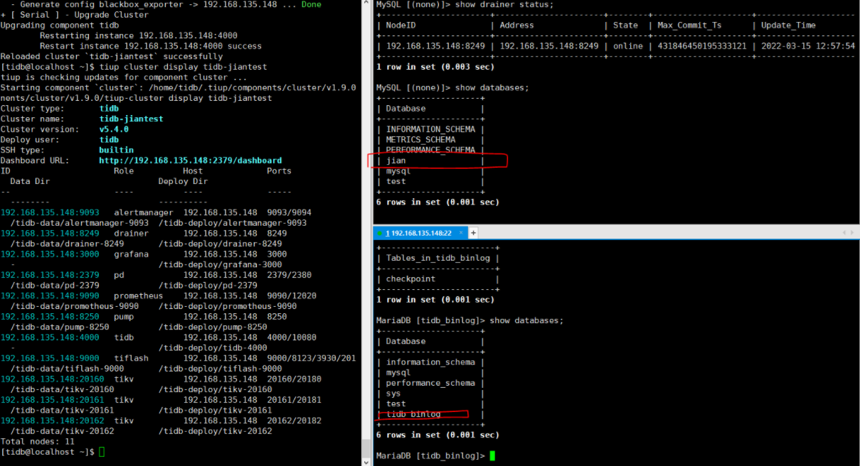 TiDB Binlog使用实践_mysql_02