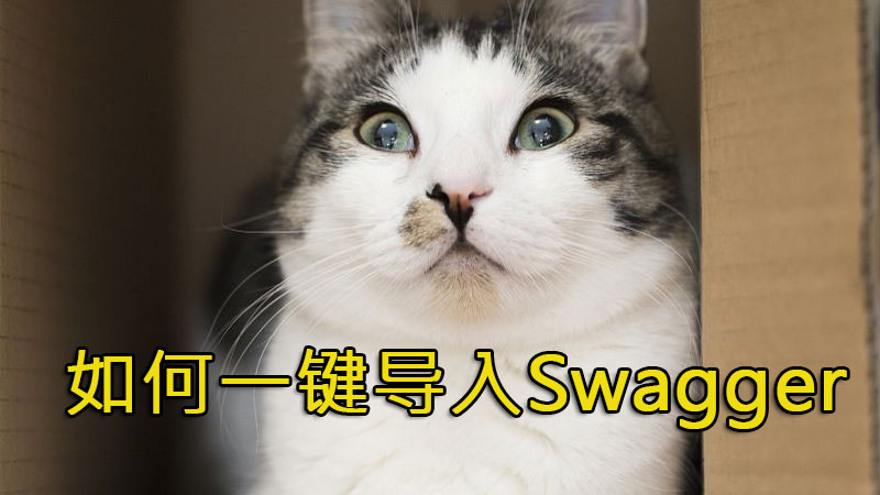 Apifox如何一键导入Swagger数据？_api文档