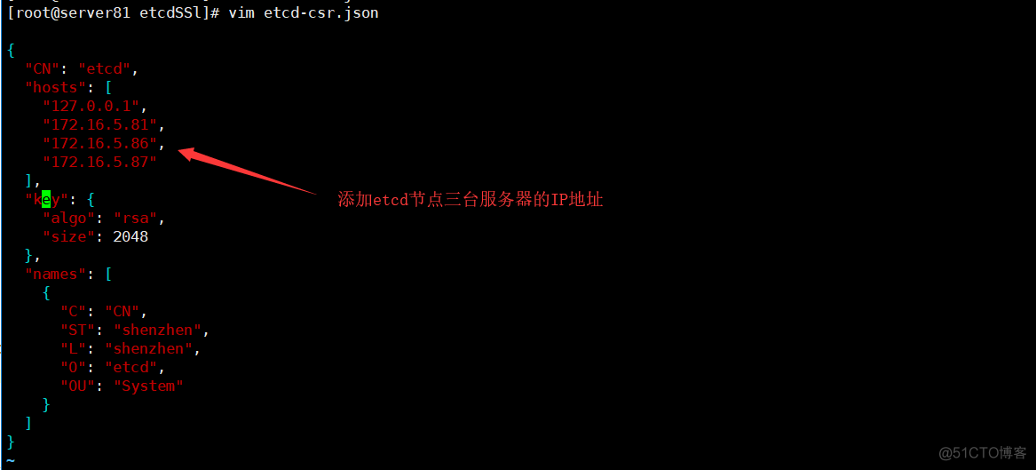 etcd多台部署，启用https以及ca自签名_json_11