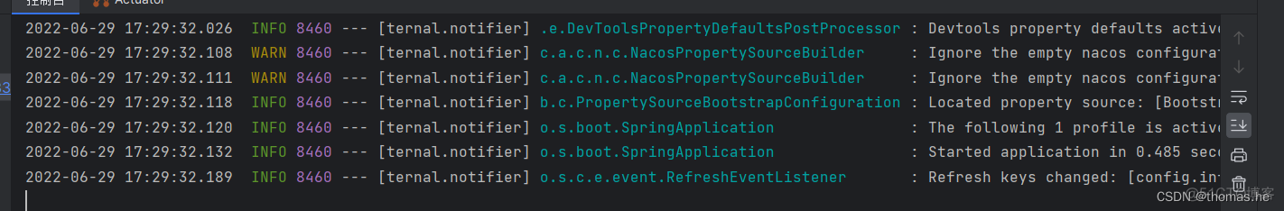 Nacos2.0 配置中心管理，动态配置更新_spring boot_11