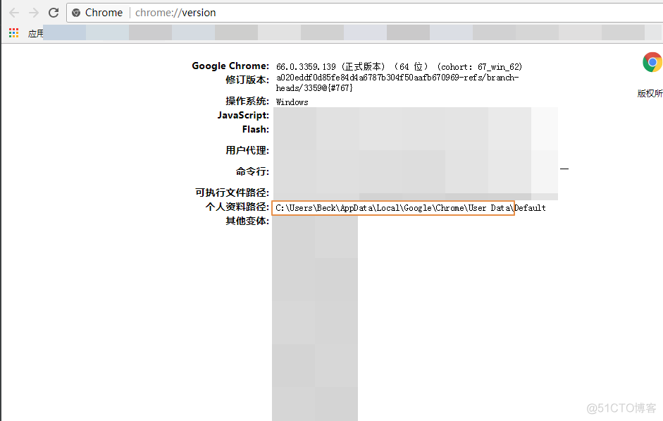 利用ChromeOptions()加载用户配置_加载_02