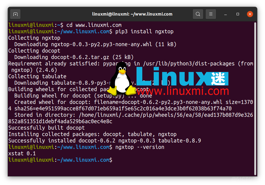 如何在Ubuntu 20.04上安装和使用ngxtop_linux