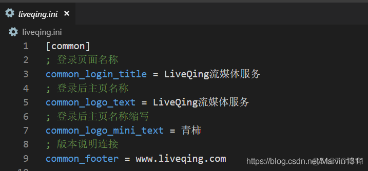 LiveQing配置存储配置及部署存储建议_自定义_04