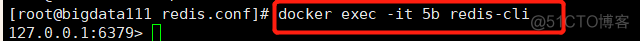 docker 安装redis 配置文件 设置密码 后端启动 进入客户端_docker_03