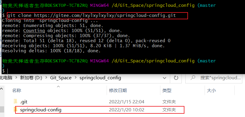 SpringCloud Day06--分布式配置中心(SpringCloud Config)_java_03