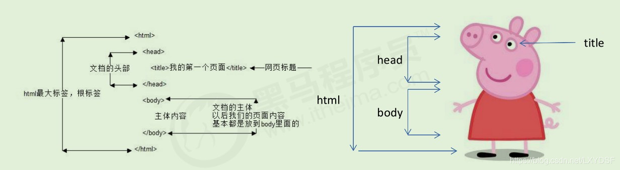 网页设计基础知识_表单