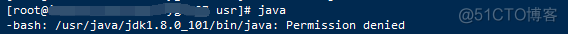 -bash: /usr/java/jdk1.8.0_101/bin/java: Permission denied_jdk