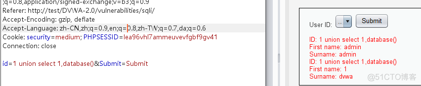 DVWA-2.0 SQL Injection_数据库_13