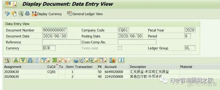 ERP FICO零基础学习_0023_FI月结-外币评估_系统维护_16