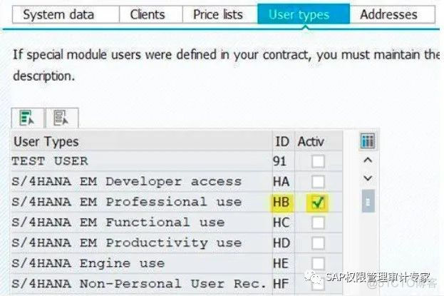 SAP S/4 HANA SLAW 审计_无法访问_02