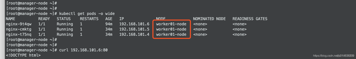 Kubeadm介绍与使用Kubeadm搭建kubernetes集群环境_nginx_06