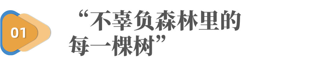  数字经济时代，发现小微崛起的机会_数据