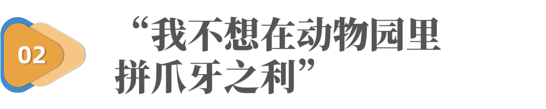  数字经济时代，发现小微崛起的机会_数据_03