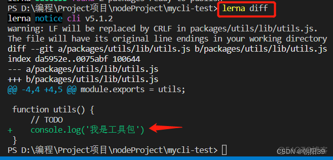 Lerna 使用教程 -- 开发脚手架的流程和核心命令详解_json_19