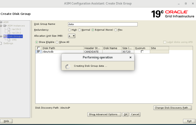 Oracle19c RAC for Centos7.6 详细安装文档_bc_84