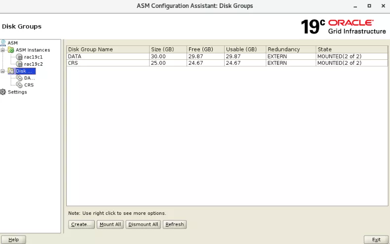 Oracle19c RAC for Centos7.6 详细安装文档_图形化界面_85