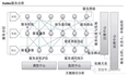 Dubbo常见问题及解决方案