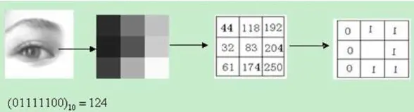 OpenCV + CPP 系列（卅七）图像特征提取（LBP特征检测）_灰度