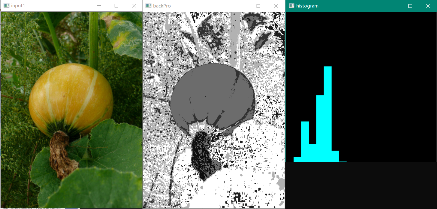 OpenCV + CPP 系列（十九）直方图比较 与 直方图反向投影_直方图_11