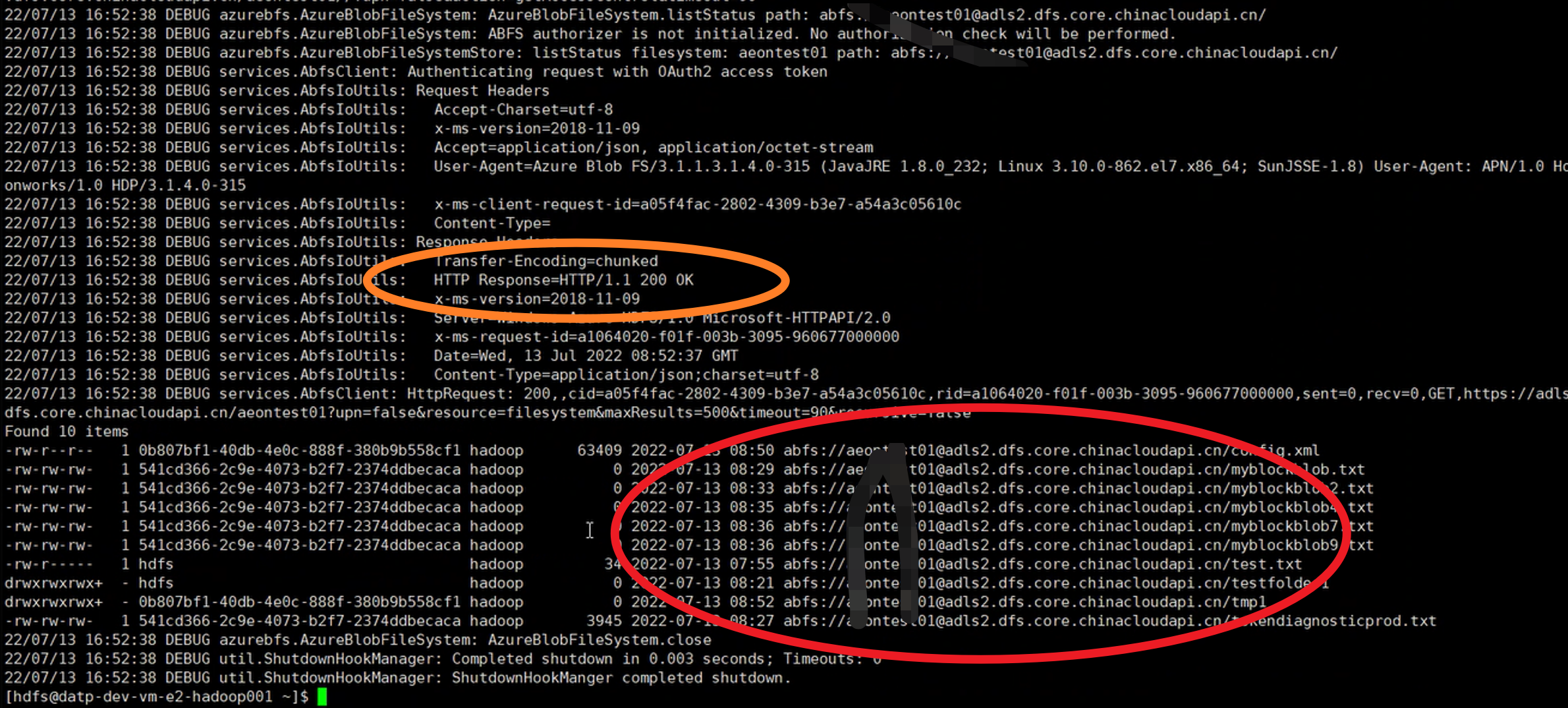 【Azure 存储服务】Hadoop集群中使用ADLS(Azure Data Lake Storage)过程中遇见执行PUT操作报错_Azure Developer_06