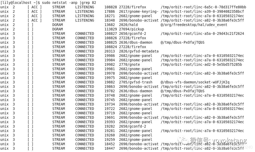 端口列表_端口占用问题解决kill_ps_net_端口号_02