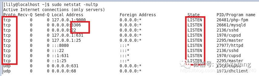 端口列表_端口占用问题解决kill_ps_net_linux_03