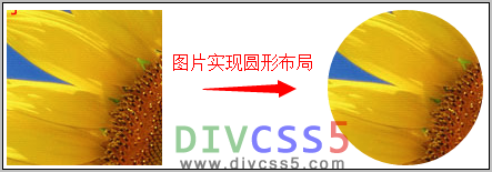 css3 图片圆形显示 如何CSS将正方形图片显示为圆形图片布局_html