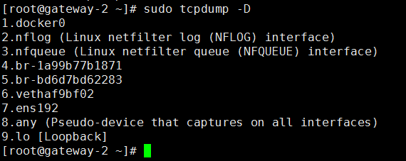 Linux 使用 tcpdump 命令抓包_服务器_02