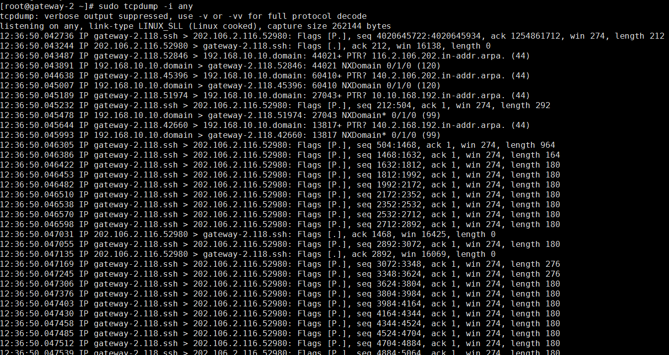 Linux 使用 tcpdump 命令抓包_数据_03