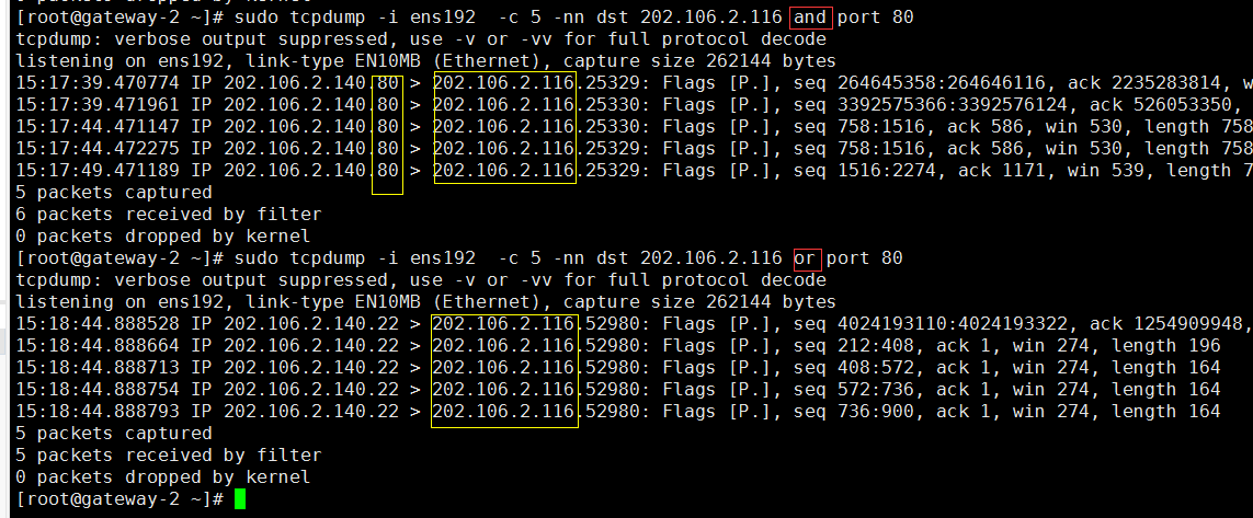 Linux 使用 tcpdump 命令抓包_数据_09