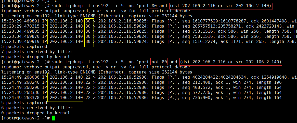 Linux 使用 tcpdump 命令抓包_数据_10