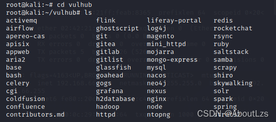 kali linux安装vulhub_LINUX_10