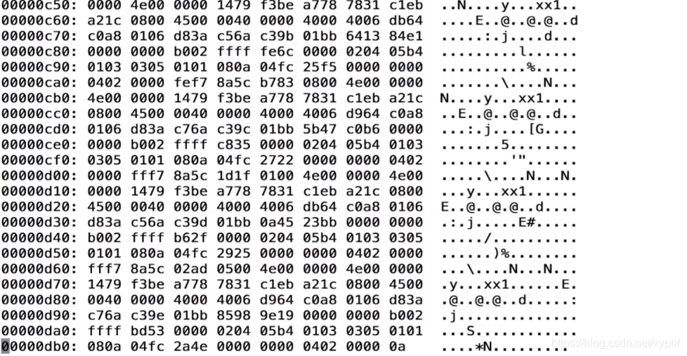 WebRTC网络基础 九、第八节 网络分析方法 tcpdump 与 wireshark实战_数据_07