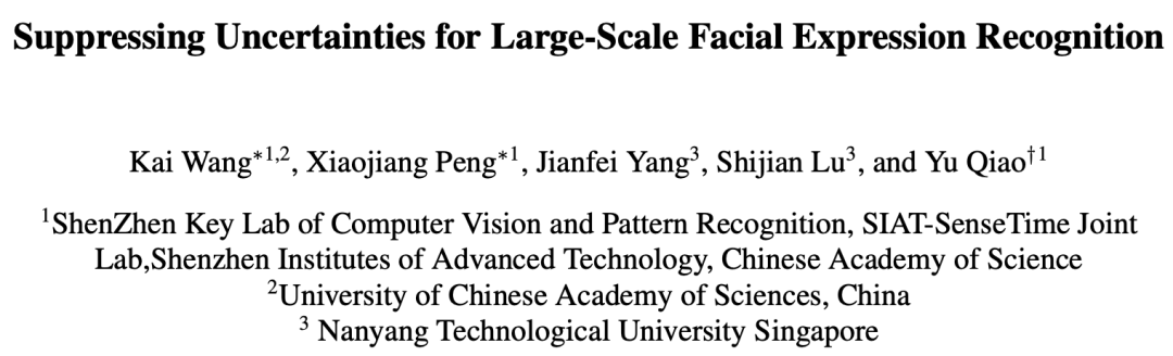 CVPR2020 | 大规模人脸表情识别（附源代码）_正则化_02