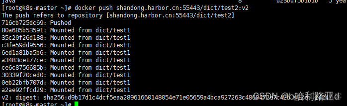 将程序打包镜像并上传到harbor仓库_docker_05