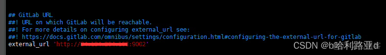 修改Docker部署gitlab的外部访问地址和端口_运维_02