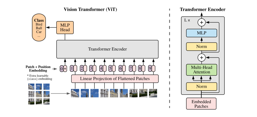 (ICLR-2021)一幅图像相当于16X16个words:大规模图像识别的Transformer_transformer_03