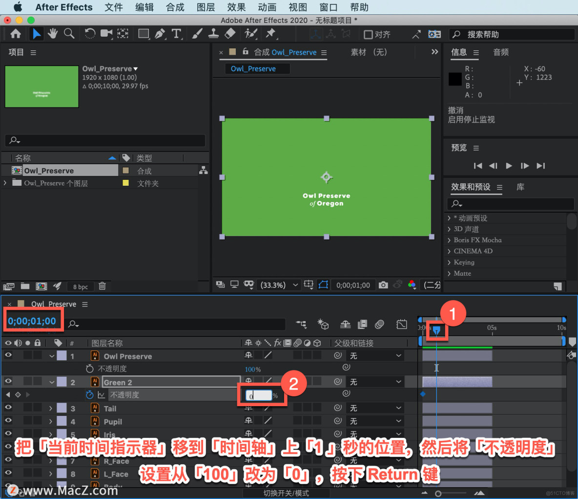 AE 教程，如何在 After Effects 中对 Illustrator 分图层文档进行动画绘制？_苹果mac_13