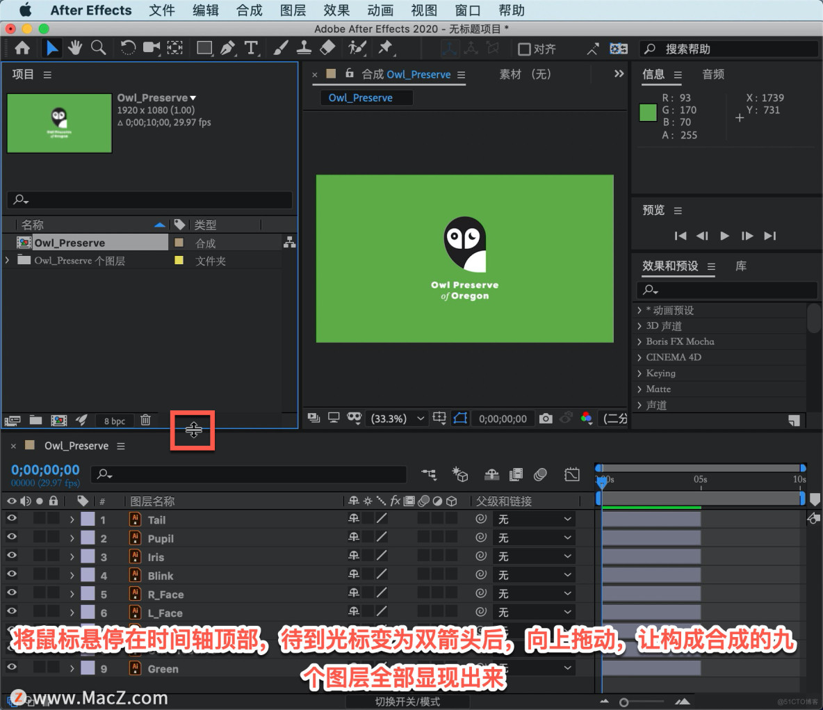 AE 教程，如何在 After Effects 中对 Illustrator 分图层文档进行动画绘制？_苹果mac_06