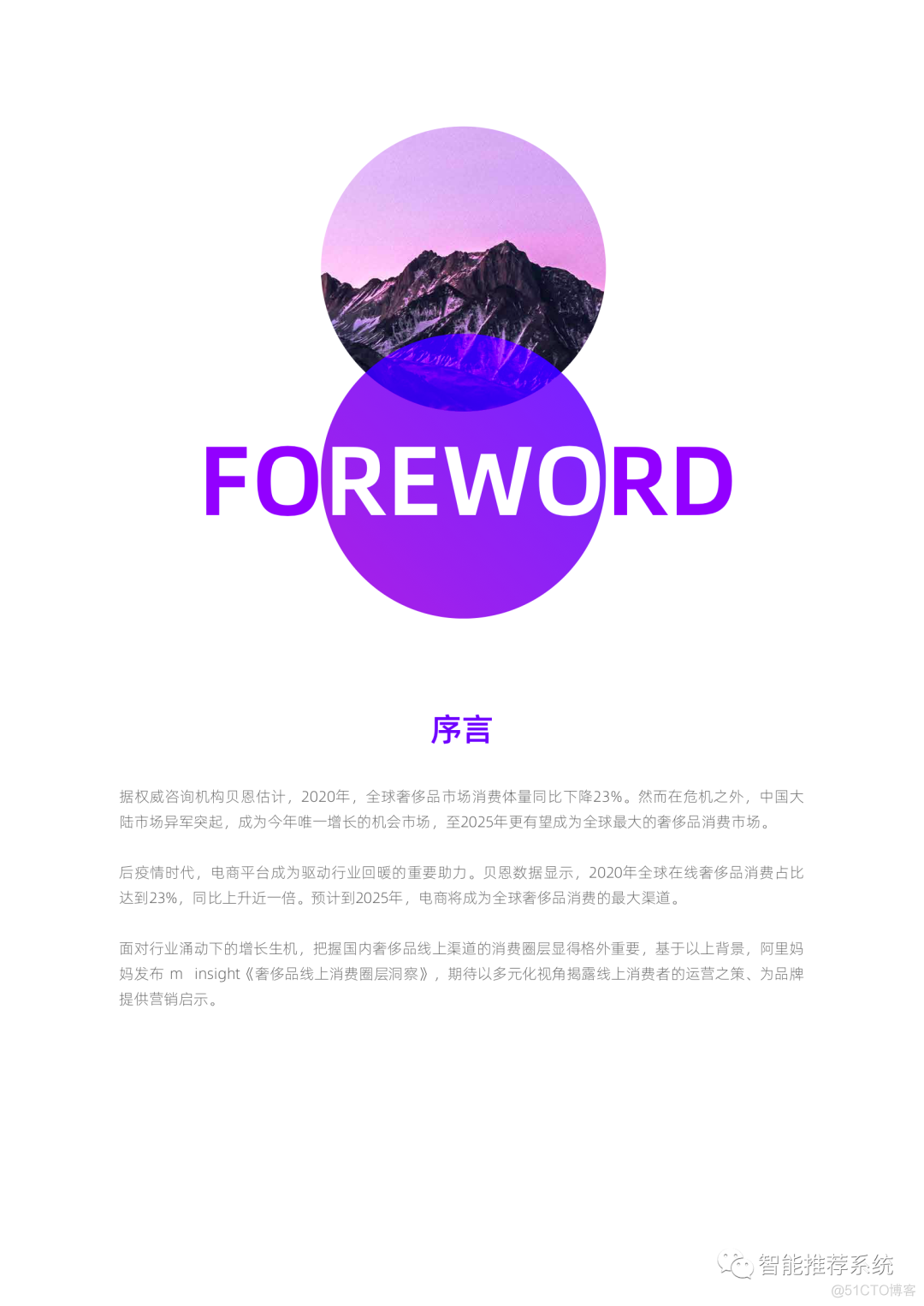 【干货】奢侈品线上消费圈层洞察-阿里妈妈.pdf（附下载链接）_人工智能_04