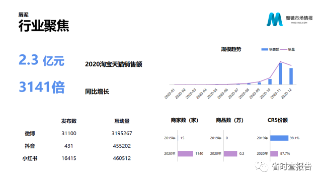 【联合首发】2020年中国线上高增长消费市场白皮书-魔镜市场情报.pdf（附下载链接）_编程语言_54