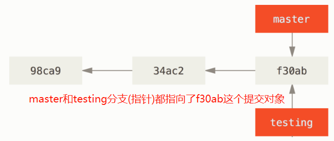 7.分支简介_校验和_04