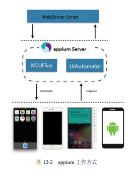 Selenium和appium简介_javascript_02